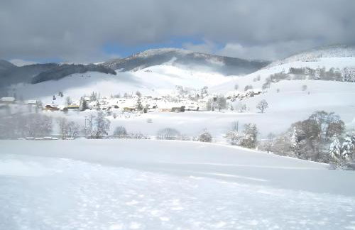 Haus Rosenfelder Fewo Abendsonne - Foto 27