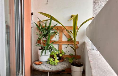 Le 300 by HappyNoWorry - Foto 52