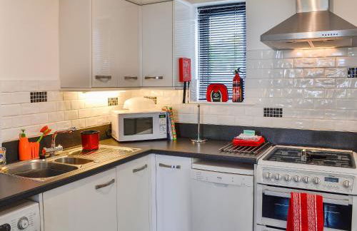 Zonnebloem - Foto 13