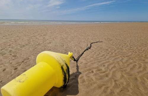 Le Cocon, 100m de la plage, place de parking privé - Foto 29