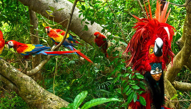 Interação com Golfinhos + Xcaret Plus - Foto 5