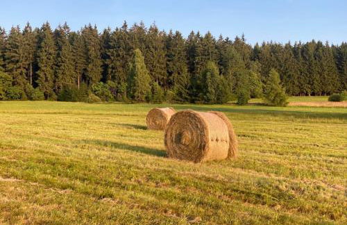 Ferienwohnung am Balkon des Erzgebirges - Bernsbach - Foto 28