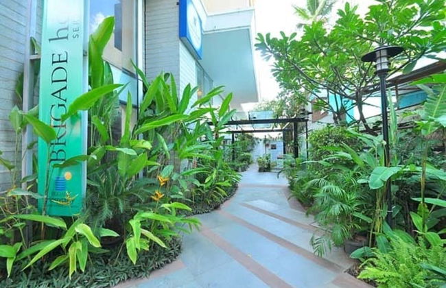 AMC Comforts at Brigade Homestead - Photo 40