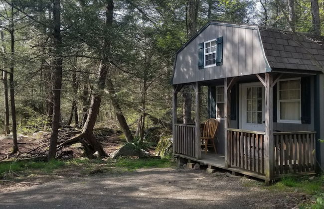 Abrams Creek Center - Foto 12