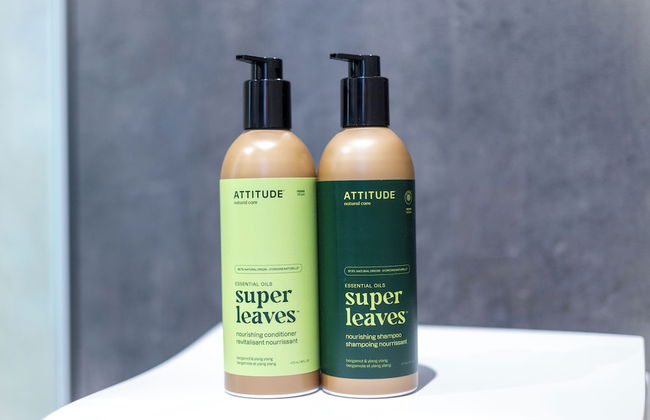 Domes at Catskills - Photo 52