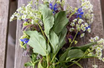 Beautiful Box Hill Lodge - Foto 25