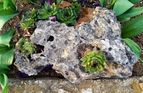 Apartment One - Foto 48