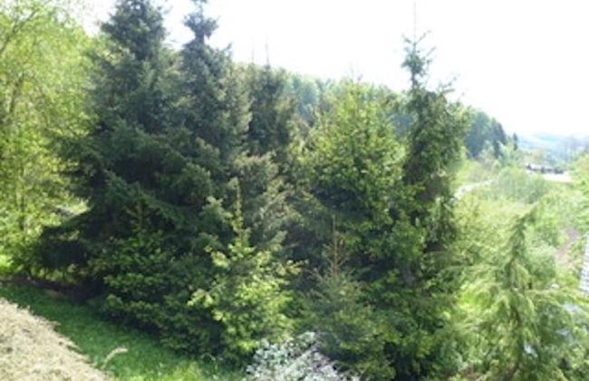 Wohnung in Zenting mit Garten - Foto 22