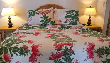 Belle Vue Waimea - Big Island of Hawaii - Foto 1