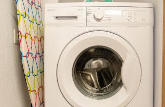 Elvis Nest - Photo 39