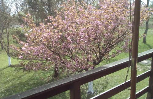 Holiday Home Bojko - Foto 26