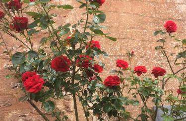 The Old Gasworks - Foto 9