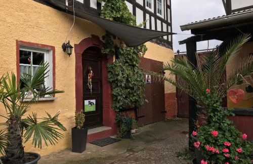 Ferienwohnung Sunshine vom Friesenhof Wieratal - Foto 12