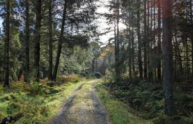 Nordlys Cottage - Foto 63