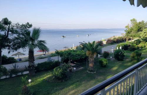 Nanas Apartment - Photo 1