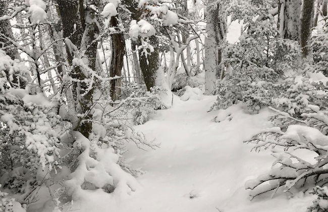 Cabañas Del Martial - Foto 76