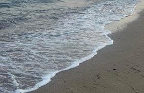 Sea and Garden House - Photo 16