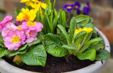 Stylish Little Bowden Retreat - Market Harborough - Foto 42