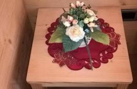 Vista Pelmo - Foto 22