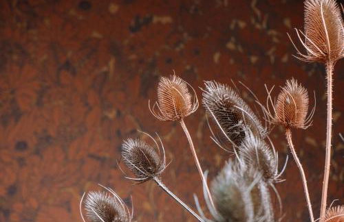 Le Banc des Hermelles - Foto 17