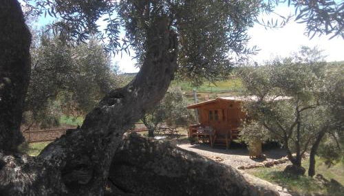 Relente - Foto 5, Garden