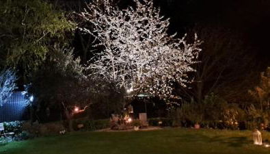 Il giardino segreto - Foto 3