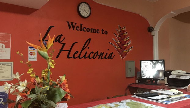 La Heliconia - Foto 3, Mostrador del conserje