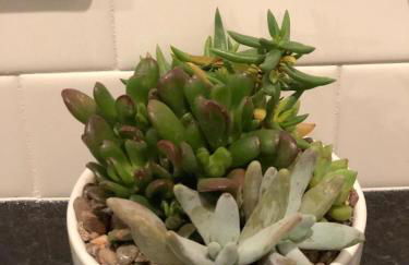 Recently Renovated Chic Durham Farmhouse - Photo 29