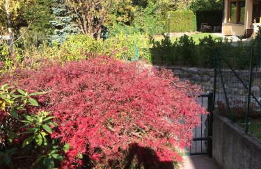 Casa Grazia Magreglio, Bellagio, Lake Como - Foto 17