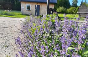 Domek Pod Górką - Foto 8