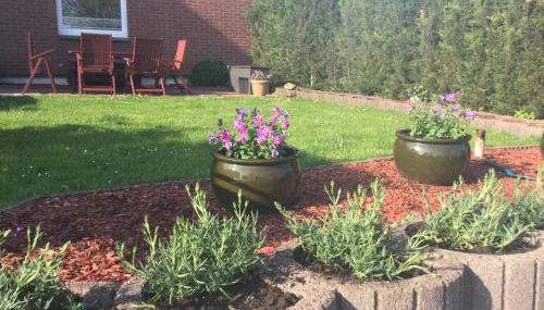 Ferienwohnung am Binnensee - Foto 4