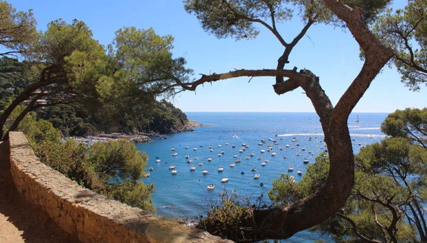 Excursión a la Costa Brava - Foto 2