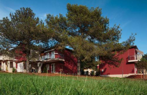 Apartments Katoro Plava Laguna - Foto 26