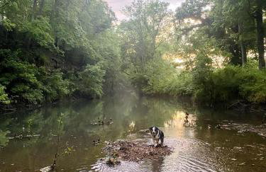 Riverfront Cozy Dome with Patio and Fire Pit in Missouri - Foto 8