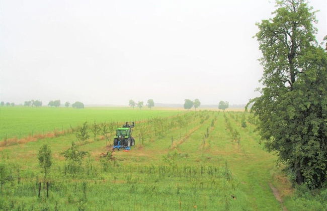 Quaint Holiday Home near Forest in Stuer - Foto 33
