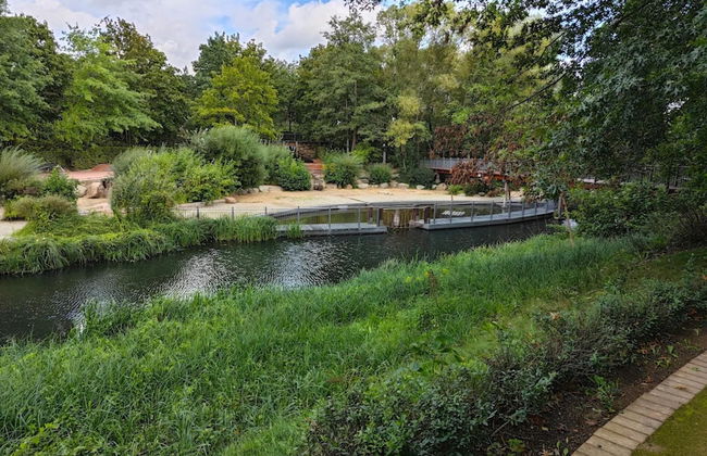 Bungalow in Lubben With a Terrace - Foto 64