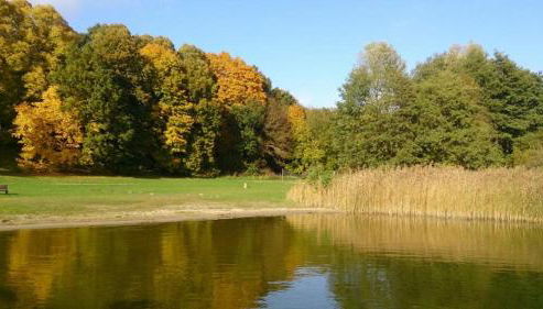 Ferien am Goldberger See - Foto 4