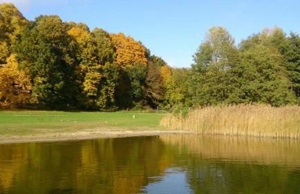 Ferien am Goldberger See - Foto 4