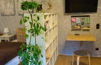 Gemütliche Wohnung mit Neckarblick - Foto 9