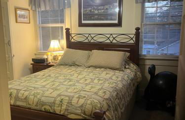 Charleston, SC themed - PRIVATE 1 QUEEN BED 1 BATH APARTMENT 2 FUTONS THAT FOLD OUT FLAT TO SLEEP ON & LEATHER LOVE SEAT GAS LOGS IN LIVING ROOM FULL KITCHEN POKER BUMPER POOL TABLE CONVENIENTLY LOCATED IN COLUMBIA SOUTH CAROLINA 1 QUEEN BED & 2 SOFA BEDS - Foto 8