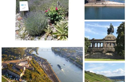 tinyflat33 Apartment in Koblenz mit Internet Balkon Stellplatz Magenta TV - Foto 16