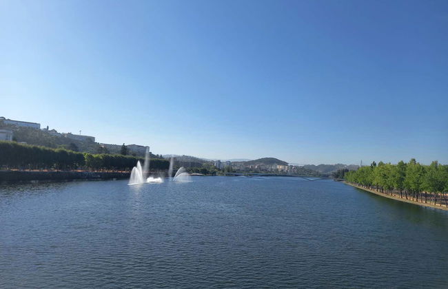 Free tour dans Coimbra - Photo 6