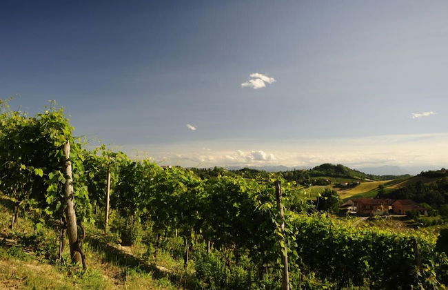 Agriturismo La Biòca - Foto 36