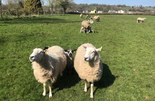 Red Kite Barn - Foto 34