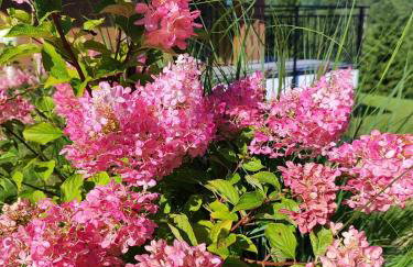 Kraina Rysia - Photo 24