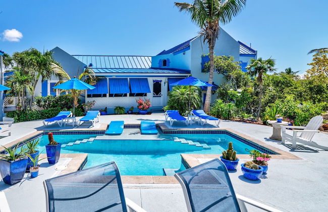 Grace Bay Beach Ocean Villas - Foto 79