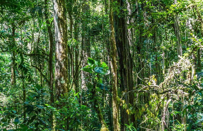 Entreaguas Natural Reserve Day Trip - Photo 7