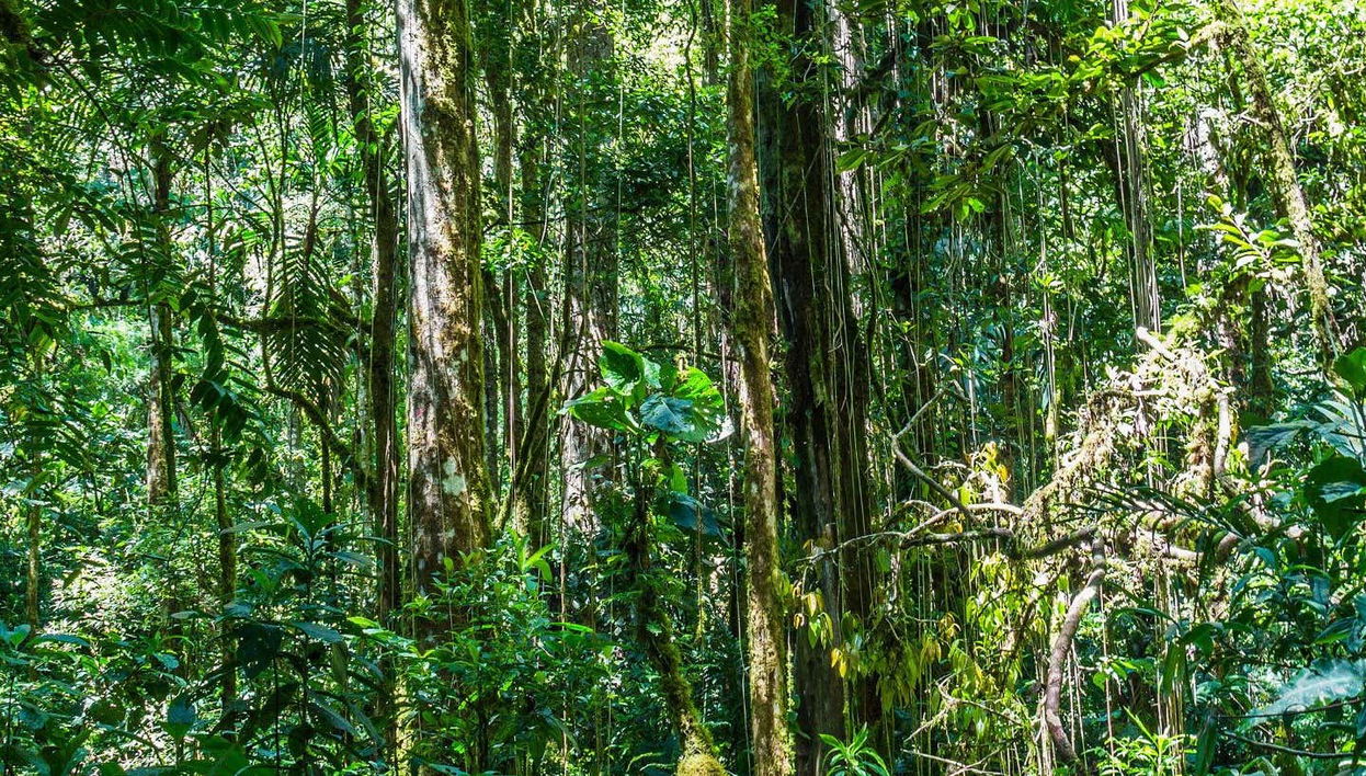 Entreaguas Natural Reserve Day Trip - Foto 1