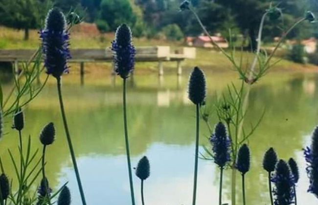 Cabañas Sierra del Tecuan - Foto 13