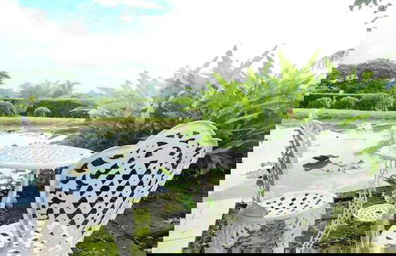 Natura Ravee Greenstay - Photo 36